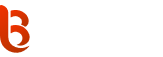 logo Betsson site de paris sportifs